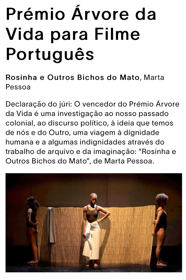 rosinha-premio-noticia