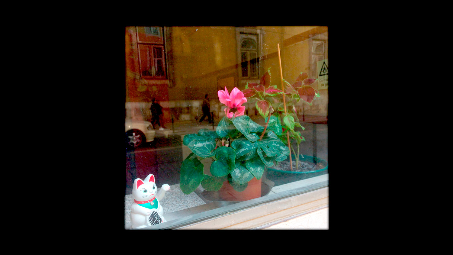 ineuj-still-02